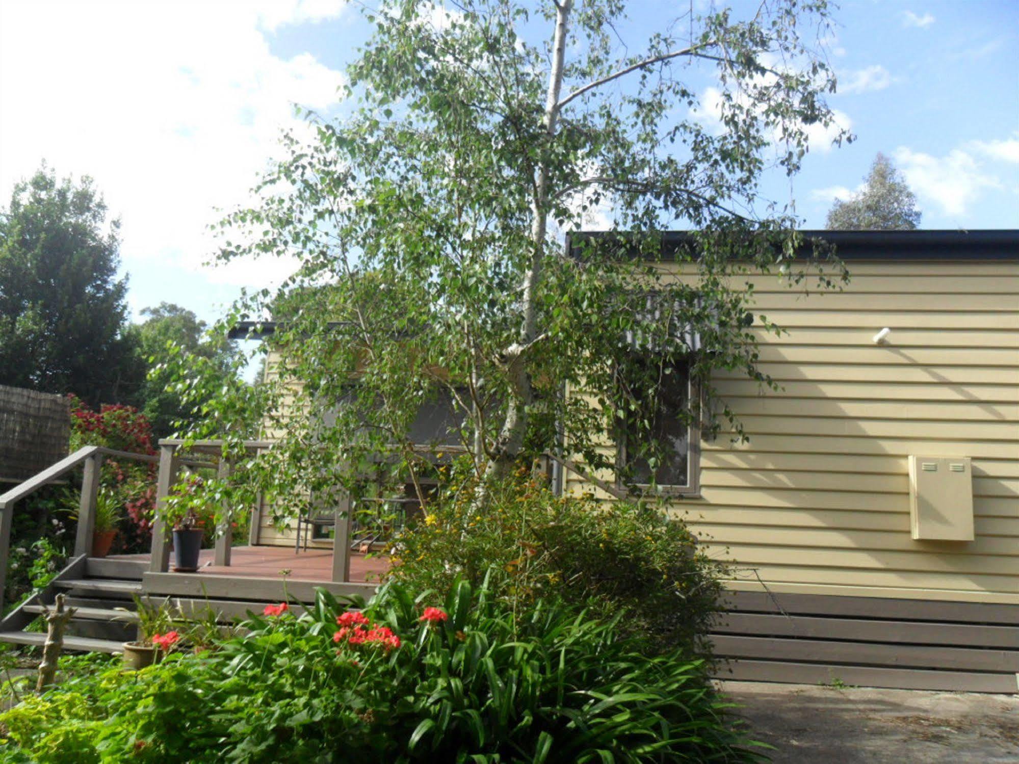 Australian Home Away @ Wonga Park Brushy Creek Esterno foto