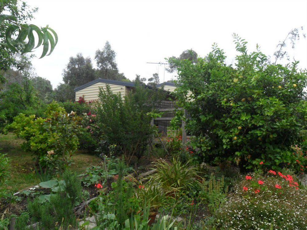Australian Home Away @ Wonga Park Brushy Creek Esterno foto